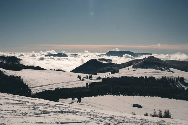 美丽的冬季风景 雪山繁茂 — 图库照片