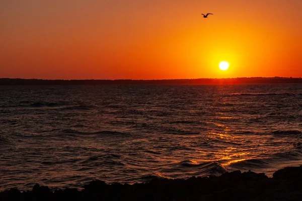 Ein Malerischer Oranger Sonnenuntergang Strand — Stockfoto