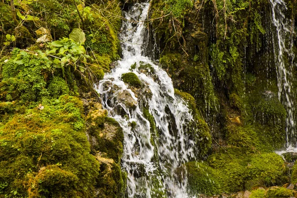 Belo Tiro Penhascos Água Musgo Uma Floresta — Fotografia de Stock