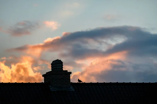 美しい夕日を背景にした建物の屋根と鳥のシルエット — ストック写真