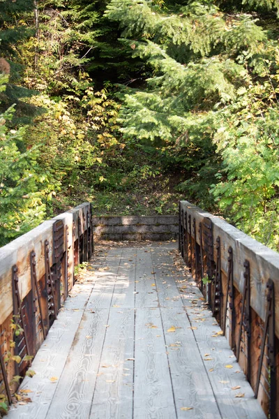 Vertical Shot Wooden Bridge Leading Park Sunlight — Stock Fotó