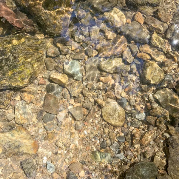 Een Top Uitzicht Van Een Stromende Heldere Rivier Het Bos — Stockfoto