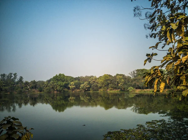 Bela Paisagem Lago Tranquilo Cercado Por Árvores Sob Céu Azul — Fotografia de Stock