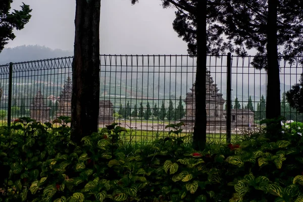 Complexe Temple Dieng Derrière Une Porte Avec Buisson Vert Premier — Photo