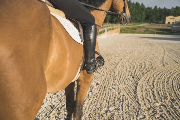 牧場で馬に乗る乗馬 — ストック写真
