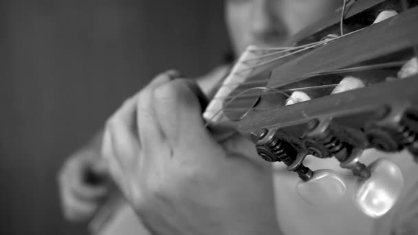 Сірий Вид Музиканта Який Грає Гітарі — стокове відео