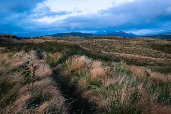 Gros Plan Une Montagne Couverte Verdure Sous Ciel Nuageux — Photo