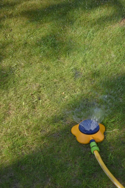 Equipment Watering Lawn Garden — Stock Photo, Image