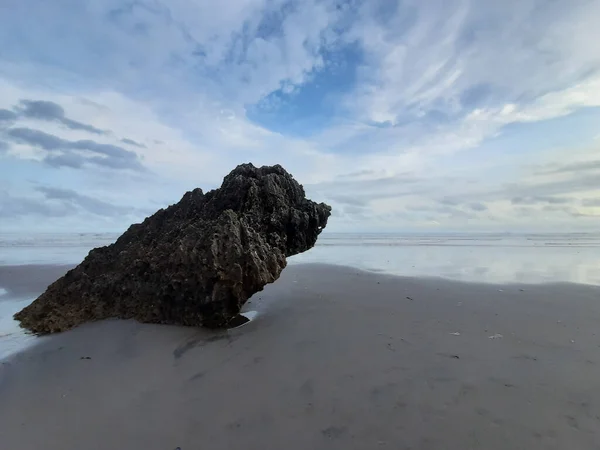 Single Rock Formation Sand Beach Eroded Sitting Bird Profile View — Foto de Stock