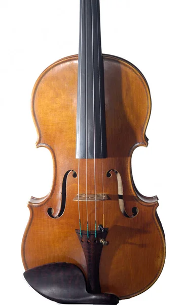 用白色背景隔开的木制小提琴身体的特写镜头 — 图库照片