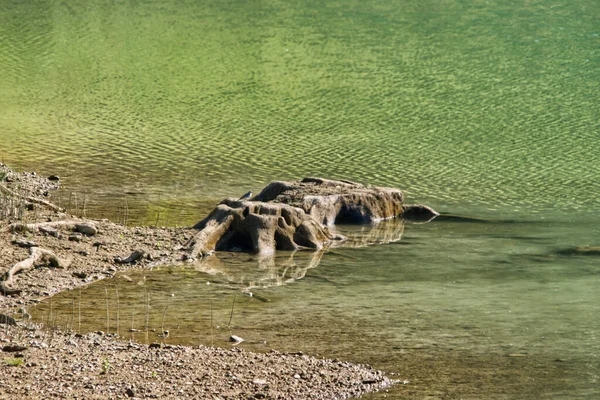 Tiro Close Uma Costa Com Pequenas Rochas Madeira Lago — Fotografia de Stock