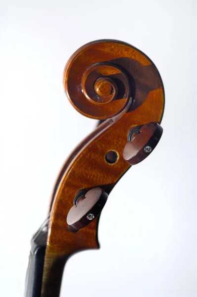 木制小提琴头的特写 卷曲在白色背景上 — 图库照片