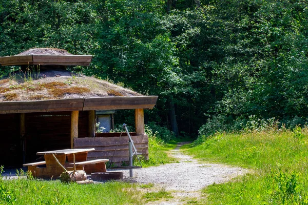 Een Beutiful Shot Van Een Van Hout Cabine Het Woud — Stockfoto