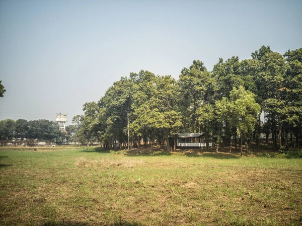 野原の木々の下の木造コテージの風景 — ストック写真