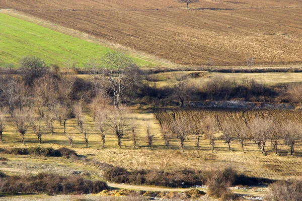Eine Landschaft Eines Landwirtschaftlichen Feldes Georgien Bei Tag — Stockfoto