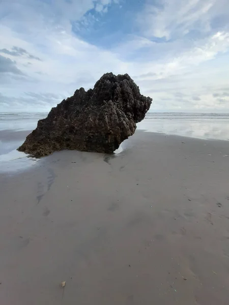 Formação Rochosa Única Uma Praia Areia Erodida Para Pássaro Sentado — Fotografia de Stock