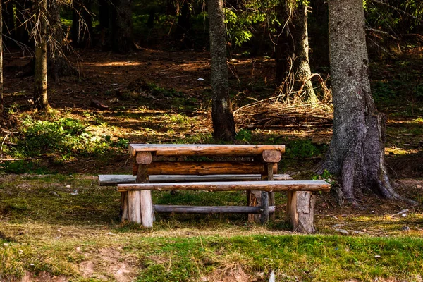 Ένα Ξύλινο Τραπέζι Και Παγκάκι Ένα Δάσος — Φωτογραφία Αρχείου
