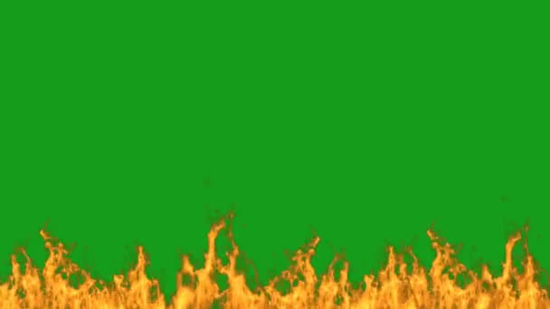 Abstract Illustration Burning Fire Green Background — Stock Video