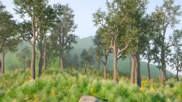 Fotorealistisk Bevægelsesbaggrund Vej Mod Grøn Skov Sommermorgen Smukke Træer Grønt – Stock-video