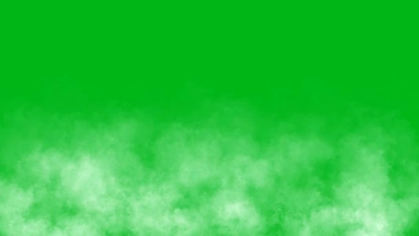 Füst Elvont Illusztrációja Zöld Alapon — Stock videók