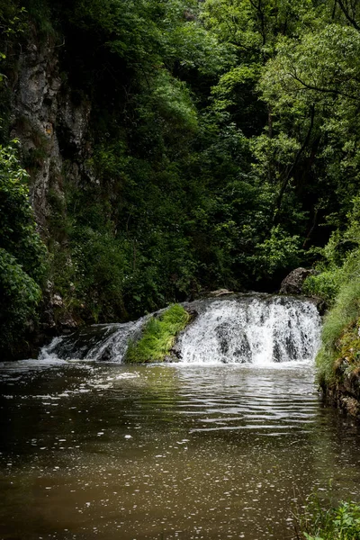 Een Kleine Waterval Rotsen Bedekt Met Mos Het Bos — Stockfoto