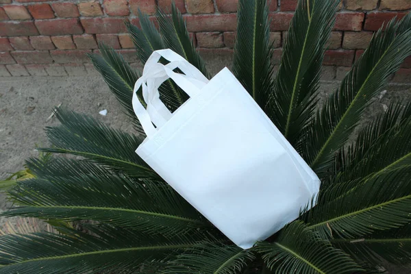 야자나무 흰에쿠 핸드백 — 스톡 사진