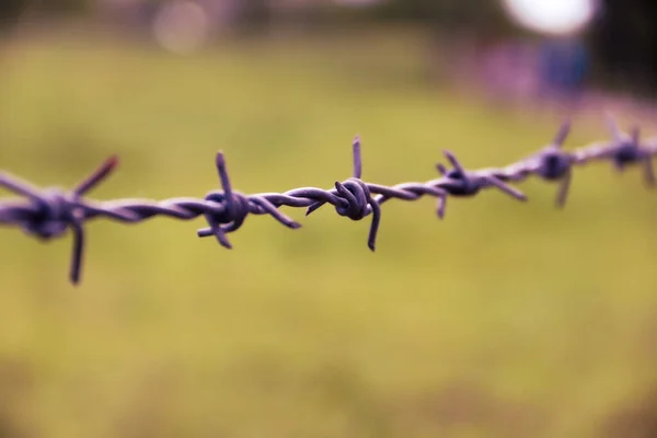 Een Close Shot Van Een Beschermende Metalen Prikkeldraad — Stockfoto