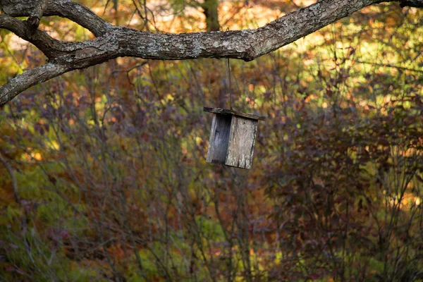 Eine Nahaufnahme Eines Hölzernen Selbst Gebauten Vogelhauses Das Einem Baum — Stockfoto