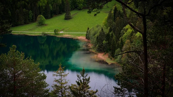 Una Vista Panoramica Lago Blu Circondato Una Natura Verdeggiante — Foto Stock
