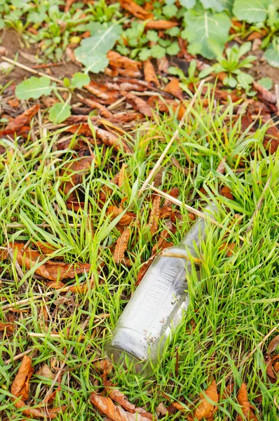 Poznan Poland Jan 2016 Empty Alcohol Bottle Laying Green Grass — Fotografia de Stock