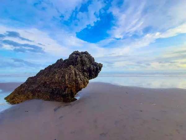 Enkel Klippformation Sandstrand Eroderad Till Sittande Fågel Profilvy Mot Havet — Stockfoto