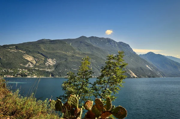 Foto Paisagem Vista Monte Brione Riva Del Garda Para Lago — Fotografia de Stock