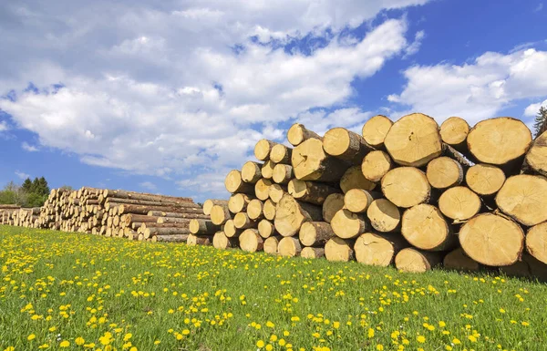 Huge Pile Wood Logs Flower Meadow Daylight Concept Renewable Raw — Stock Photo, Image