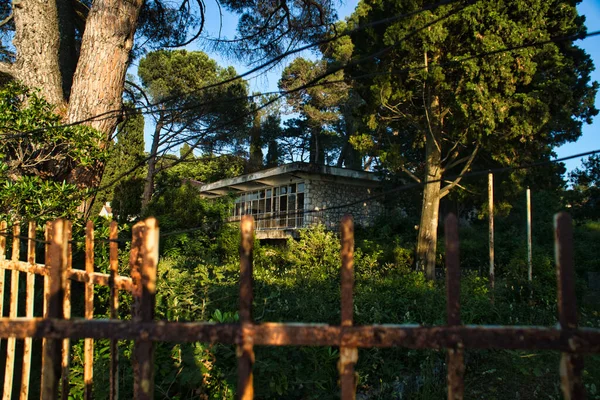 Old Abandoned House Broken Windows Forest —  Fotos de Stock