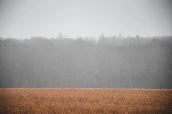 Uma Vista Panorâmica Campo Envolto Nevoeiro — Fotografia de Stock
