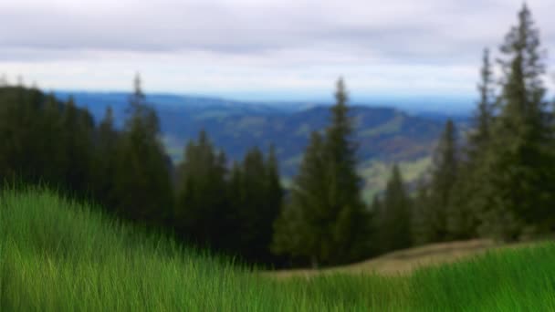 Närbild Ett Landskap Med Skog Kullen Solljus Sommaren — Stockvideo