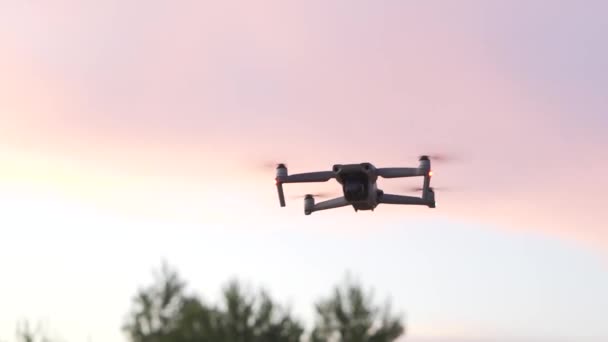 Een Lage Hoek Uitzicht Van Een Drone Vliegen Een Boom — Stockvideo