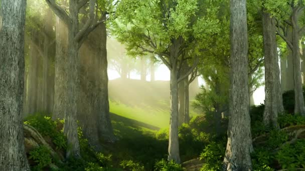 Fotorealistisk Rörelse Bakgrund Morgon Promenad Genom Vacker Magisk Skog Med — Stockvideo