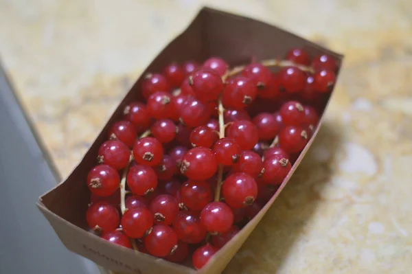 Closeup Shot Red Currant Berries — Stock Photo, Image