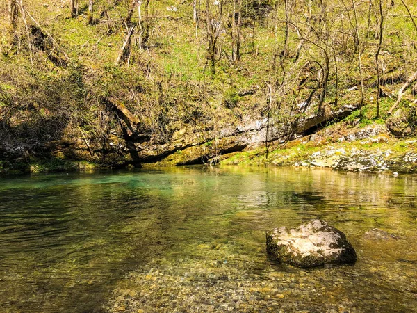 Een Prachtig Schot Van Een Rivier Het Woud — Stockfoto