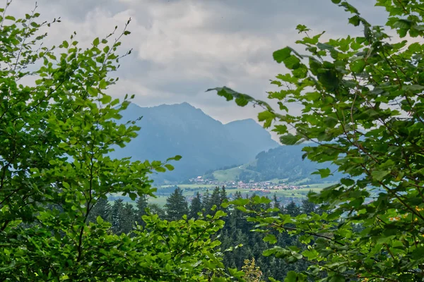 Beautiful Shot Mountains Seen Tree Branches Allgau Region Germany — Fotografia de Stock