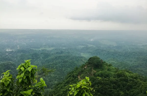 Eine Wunderschöne Landschaft Mit Grünen Wäldern Und Nebel — Stockfoto