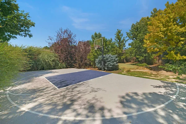 Tek Sepetli Sık Ağaçlı Bir Basketbol Sahası — Stok fotoğraf