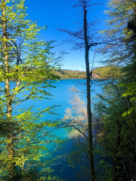 Piękne Ujęcie Jeziora Drzewami — Zdjęcie stockowe