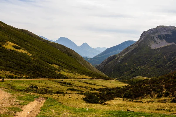 Closeup Shot Rocky Mountains Covered Greenery Daylight — Stock Photo, Image