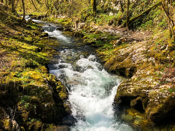 Krásný Záběr Řeky Lese — Stock fotografie