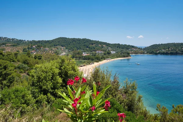 Skiathos Sziget Görögország Strand Agia Paraskevi Platanias Strandok Skiathos Vannak — Stock Fotó