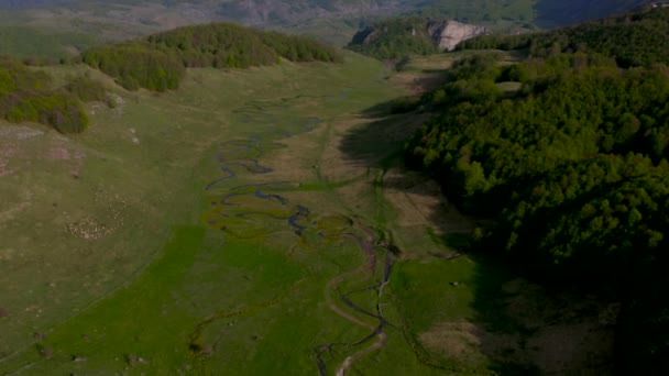 Luchtfoto Van Bocht Het Groene Veld Bosnië Herzegovina — Stockvideo