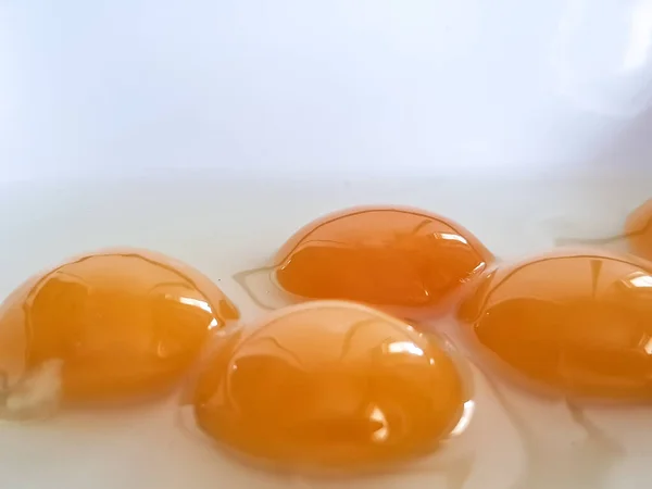 Olhe Atentamente Para Ovos Codorna — Fotografia de Stock
