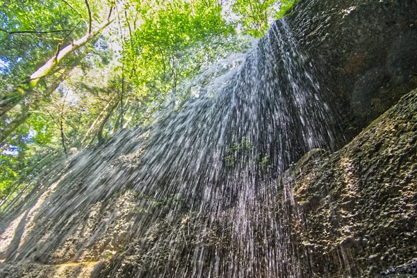 Belo Tiro Uma Floresta Com Uma Cachoeira Moggers Áustria Durante — Fotografia de Stock